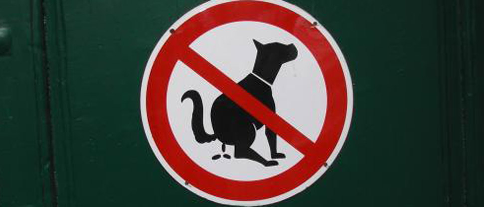 El PSOE pide una campa&ntilde;a de sensibilizaci&oacute;n para evitar los excrementos de los perros en parques y jardines
