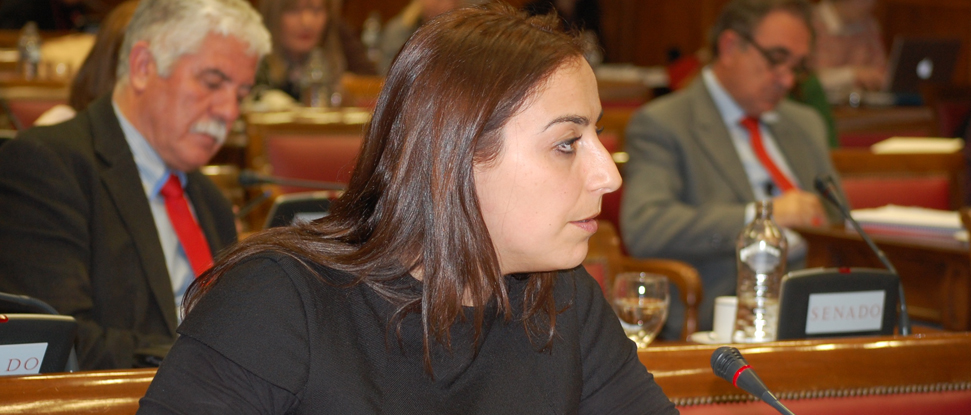 Andr&eacute;s reivindica la defensa de los servicios sociales en tiempos de crisis y critica al PP por paralizar la ley de dependencia