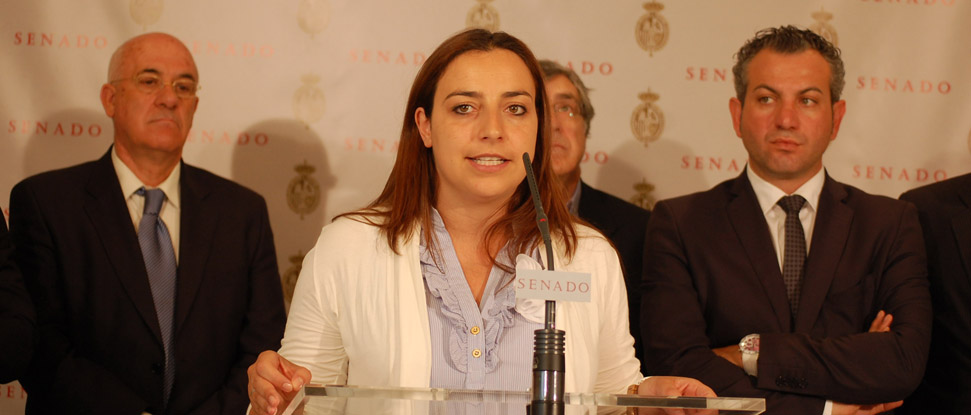 El PSOE tacha de &ldquo;cortina de humo&rdquo; la reuni&oacute;n de Soria con senadores del PP