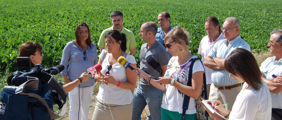 El PSOE denuncia los brutales recortes del PP en sus presupuestos para Agricultura y Ganader&iacute;a