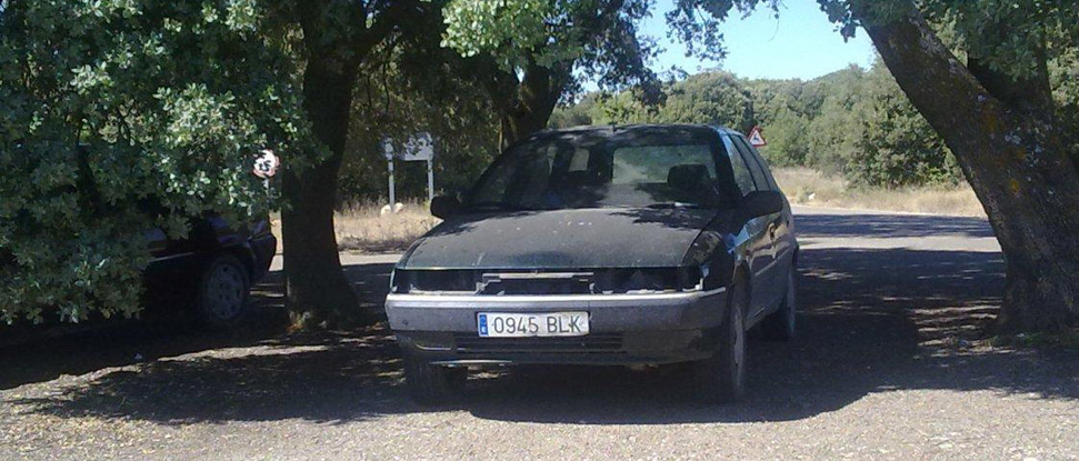 El PSOE pide una urgente intervenci&oacute;n en el Monte &ldquo;El Viejo&rdquo; ante el grave deterioro que presenta