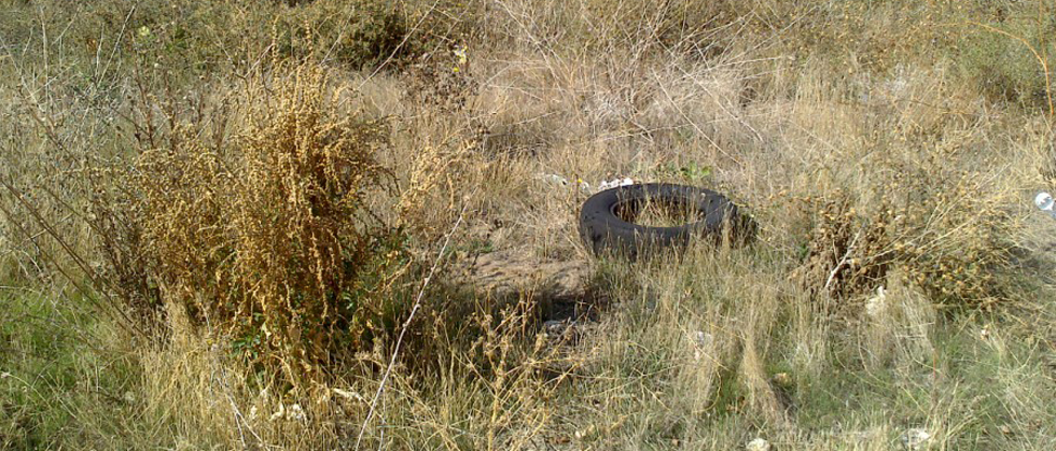 Gallego insta al PP a que se exija a ADIF y a FEVE la limpieza de sus solares en el Barrio de San Antonio