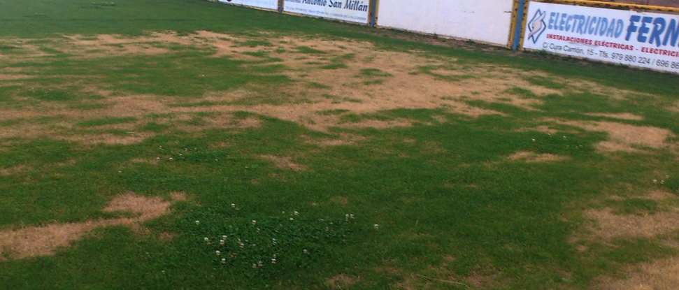 El PSOE en el Ayuntamiento de Carri&oacute;n denuncia el mal estado del campo de f&uacute;tbol municipal
