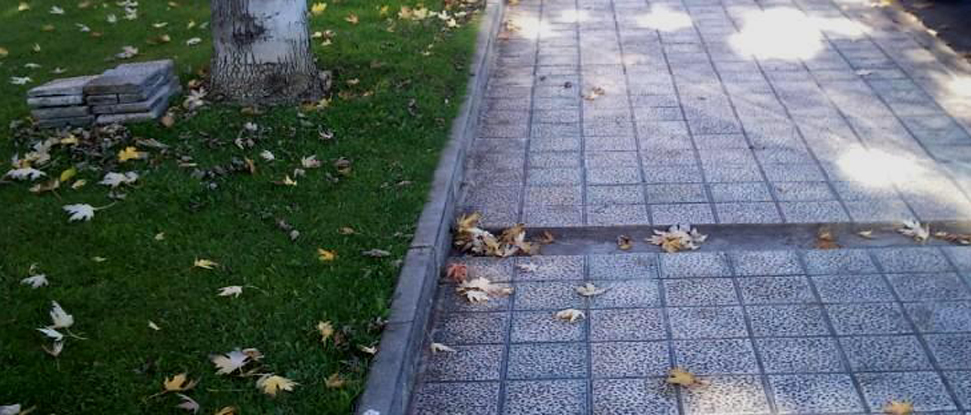 El Grupo Socialista denuncia el abandono de los espacios p&uacute;blicos de la capital