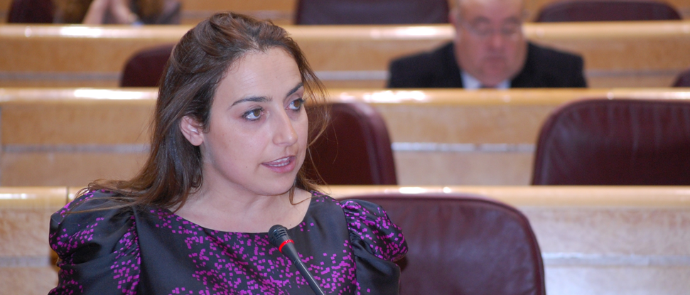 Miriam Andr&eacute;s denuncia que 704 cuidadores de dependientes palentinos han abandonado la Seguridad Social