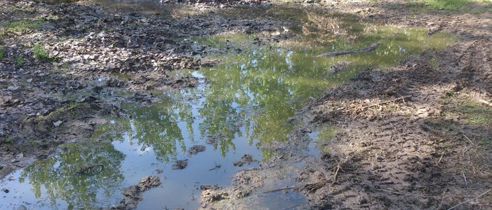 El PSOE lamenta el mal estado del entorno de la depuradora de aguas en Carri&oacute;n de los Condes