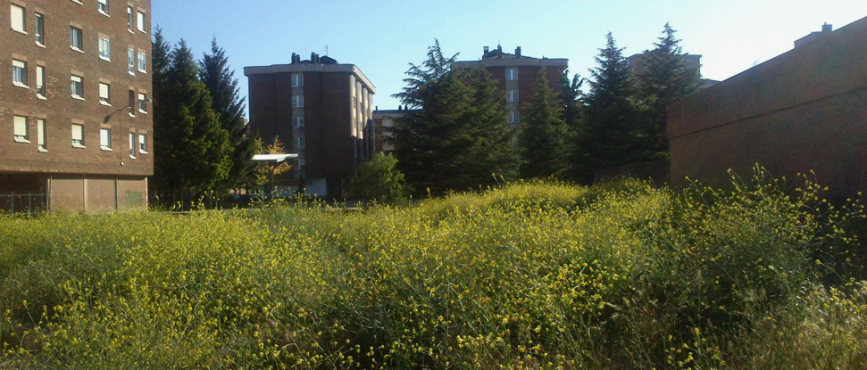 El PSOE denuncia el estado de varios solares en los barrios de Pan y Guindas y Nueva Balastera