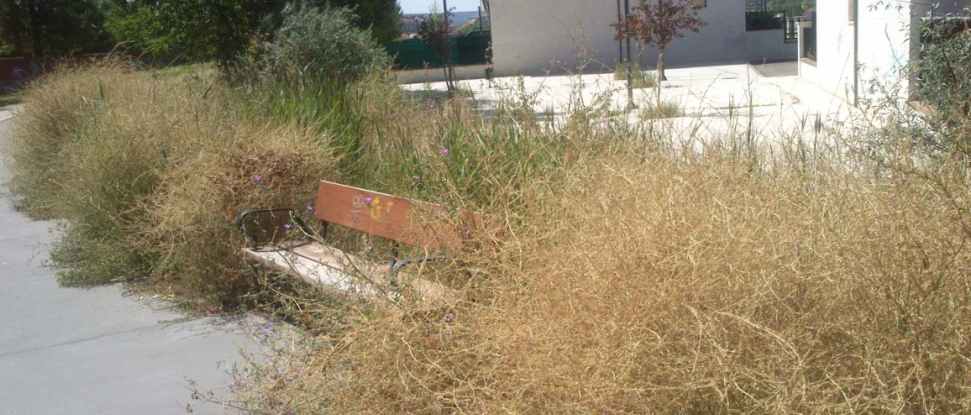 El PSOE muestra su preocupaci&oacute;n por la falta de limpieza de varios espacios p&uacute;blicos