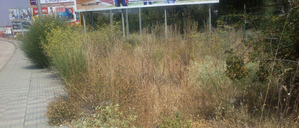 El PSOE pide varias actuaciones urban&iacute;sticas para mejorar y conservar la ciudad