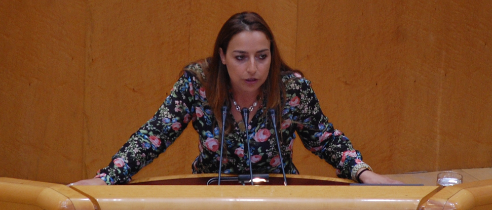 Miriam Andr&eacute;s acusa al Gobierno de dejar morir la Ley de Dependencia y de no creer en los servicios p&uacute;blicos
