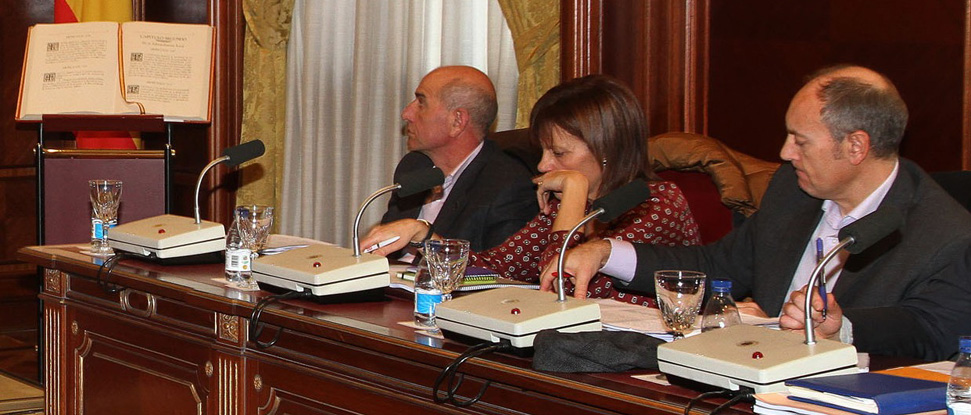 El PSOE pide en Diputaci&oacute;n que se apoye y asesore a los municipios en su defensa de la autonom&iacute;a local