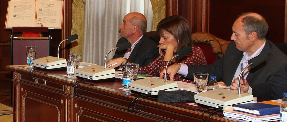 El PSOE pide en Diputaci&oacute;n que la Junta apruebe un Plan de Apoyo a la Alimentaci&oacute;n Infantil