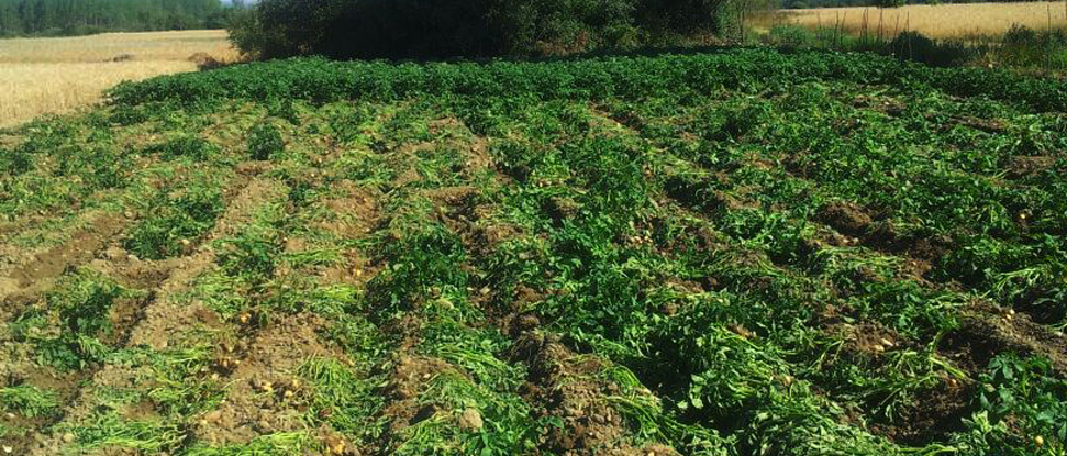 El PSOE muestra su apoyo al Equipo de Gobierno de Fresno del R&iacute;o tras los continuos ataques a sus ediles