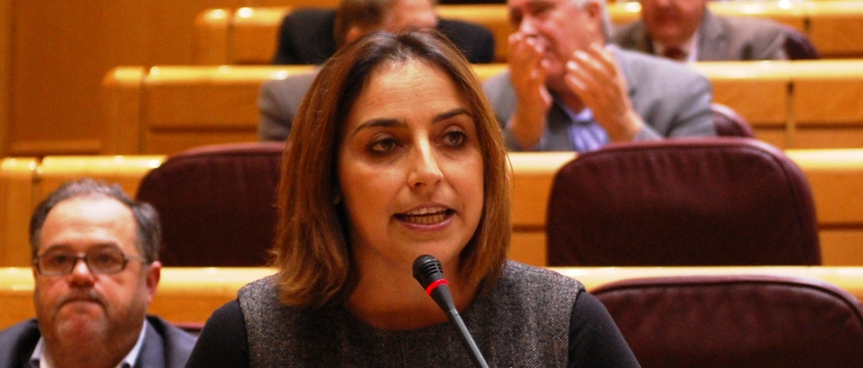 Miriam Andr&eacute;s exige al ministro de Defensa que se comprometa a garantizar el empleo en la F&aacute;brica de Armas