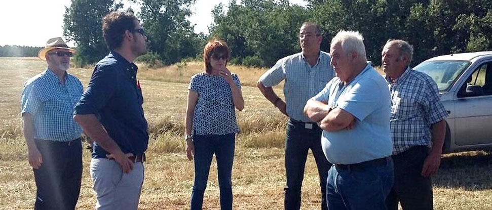 El PSOE reclamar&aacute; la repoblaci&oacute;n inmediata de la superficie quemada en Santerv&aacute;s de la Vega