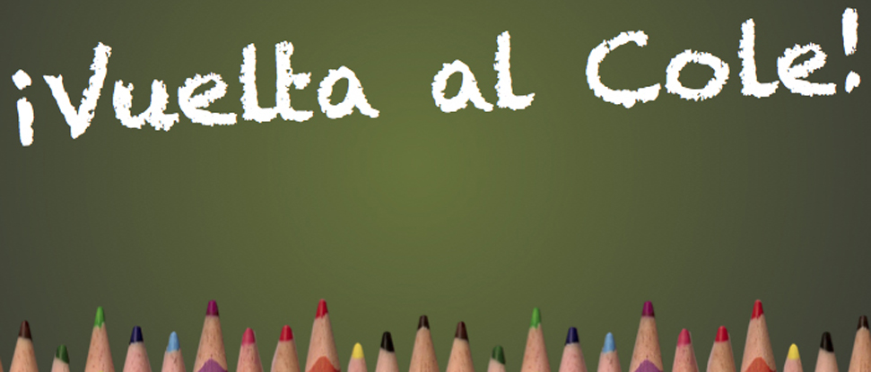 El PSOE denuncia el insuficiente n&uacute;mero de profesores y la alta tasa de interinidades