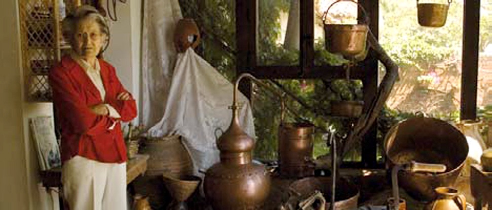 <div>El PSOE pide en Diputaci&oacute;n la creaci&oacute;n de &nbsp;rutas de transporte para los museos de la zona norte</div>