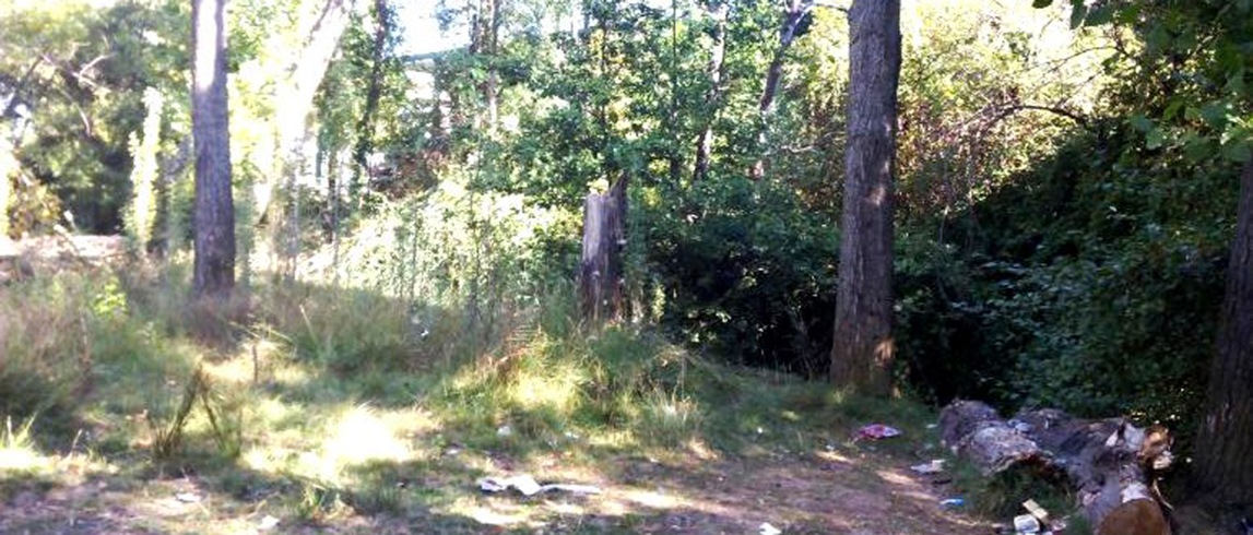 El PSOE solicita al Ayuntamiento que negocie con la CHD un nuevo Plan de Riberas Urbanas