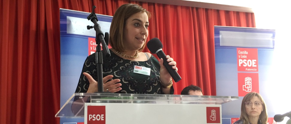 El PSOE de Palencia redoblar&aacute; sus esfuerzos para hacer un partido m&aacute;s abierto a la ciudadan&iacute;a