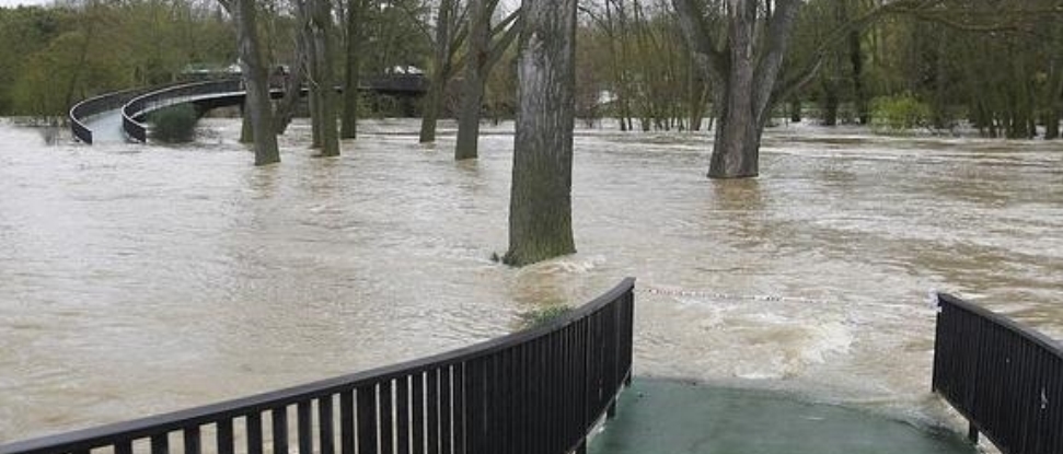 El PSOE reitera la necesidad de que la CHD proceda a la limpieza del cauce y las riberas del Carri&oacute;n