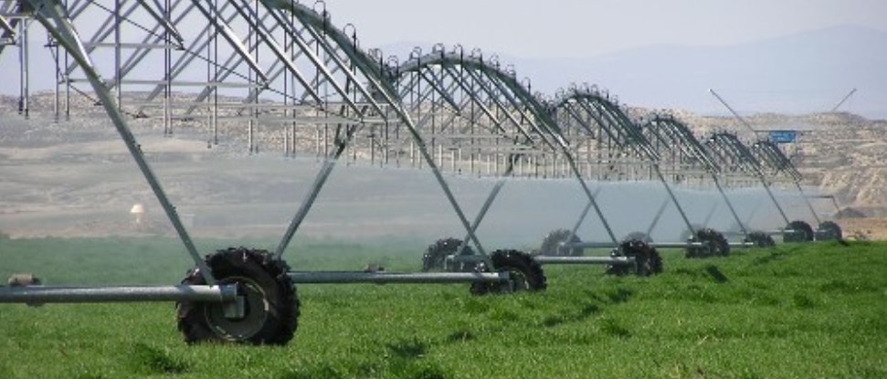 El PSOE pregunta por las actuaciones previstas para promocionar los regad&iacute;os del Sistema Carri&oacute;n