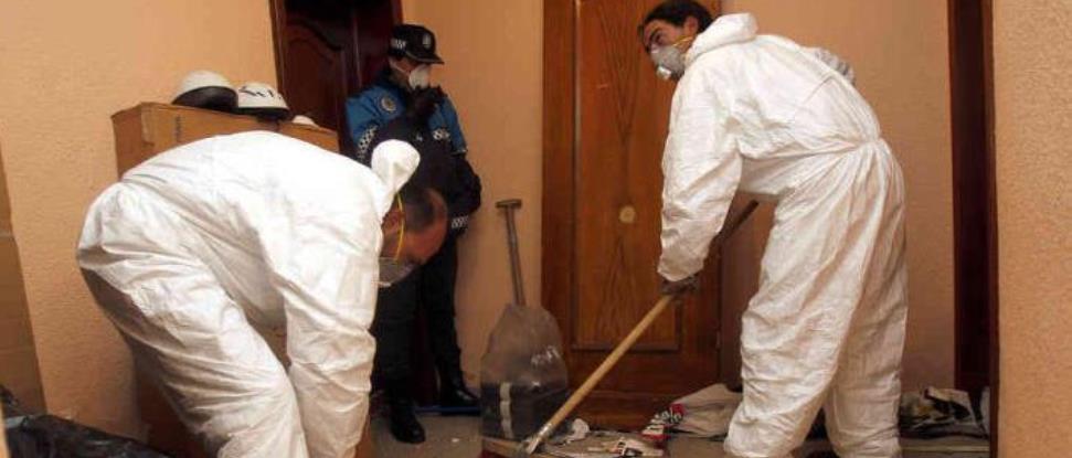 El PSOE pide que se finalice la limpieza de un solar de la calle Los Gatos paralizada desde hace meses