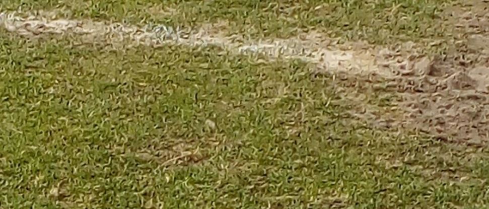 El PSOE aconseja a Facundo Pelayo que aprenda a asumir la cr&iacute;tica y deje de comportarse de forma &ldquo;barriobajera&rdquo;