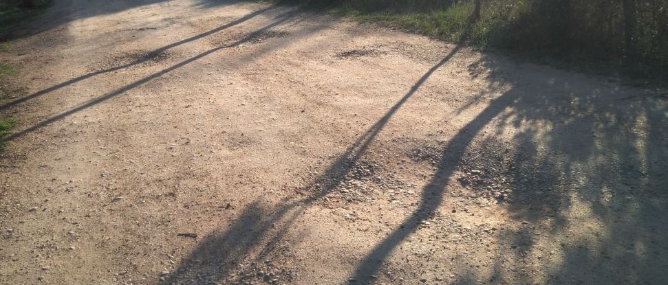 El PSOE pide la mejora de los caminos del Monte &ldquo;El Viejo&rdquo; ante la llegada del buen tiempo