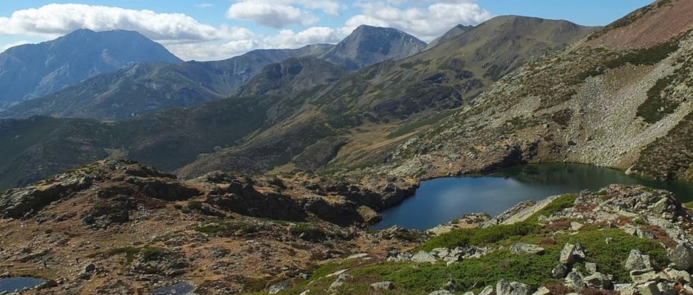 El PSOE pide nuevamente un Plan Rector de Uso y Gestión del Parque Natural Montaña Palentina El PSOE pide nuevamente un Plan Rector de Uso y Gestión del Parque Natural Montaña Palentina