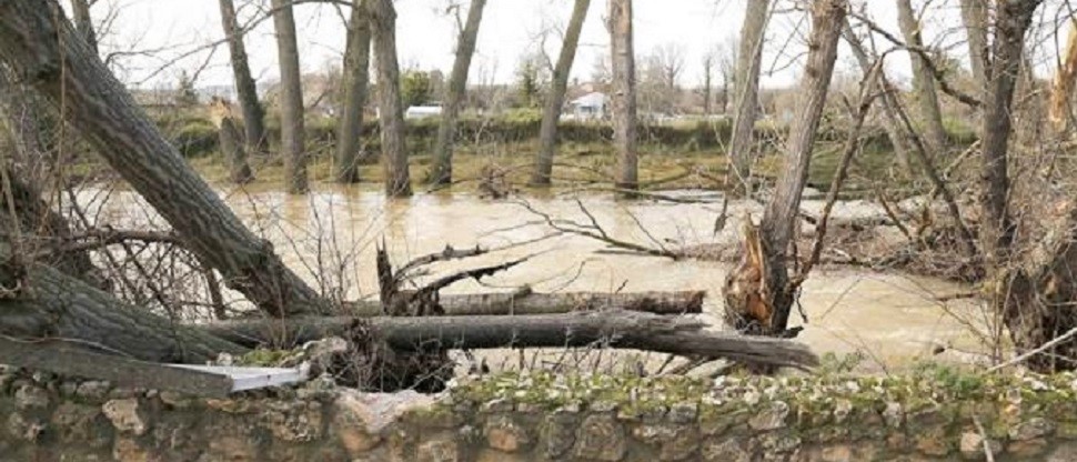 El PSOE reclama al Ayuntamiento la limpieza del cauce y las riberas del Carri&oacute;n a su paso por la ciudad