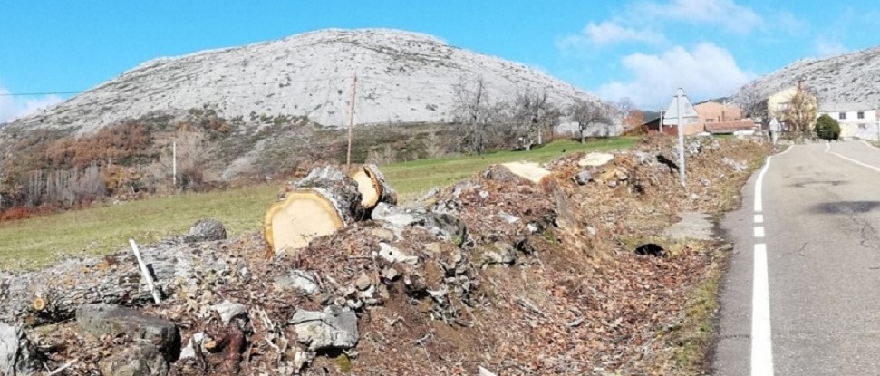 <div>El PSOE pide explicaciones a la Diputaci&oacute;n sobre la tala de &aacute;rboles en la P-2247 entre Avi&ntilde;ante y el Brezo</div>