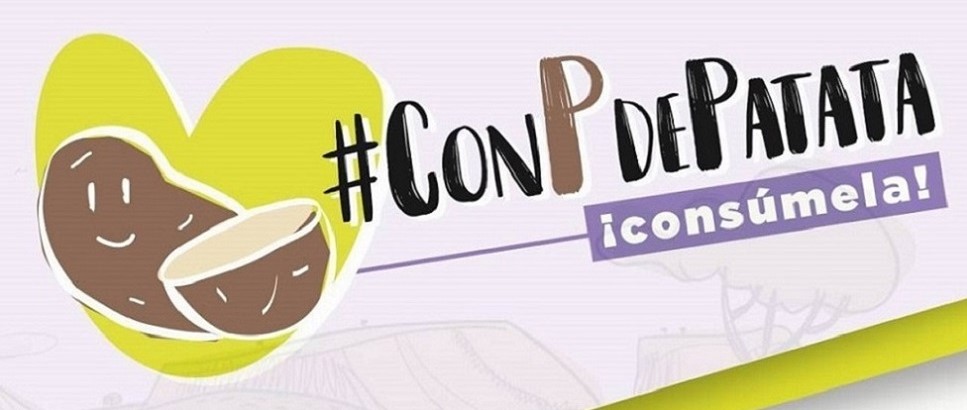 <div>El PSOE valora positivamente la aceptaci&oacute;n de su propuesta sobre el fomento del consumo de patatas palentinas</div>