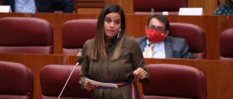 El PSOE exige a la Junta que act&uacute;e ya sobre la residencia de Salinas y asuma su responsabilidad