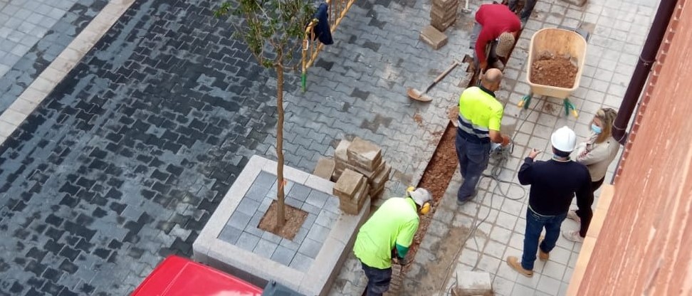 El PSOE duda del cumplimiento del Reglamento de Accesibilidad en las obras de los entornos de la Catedral