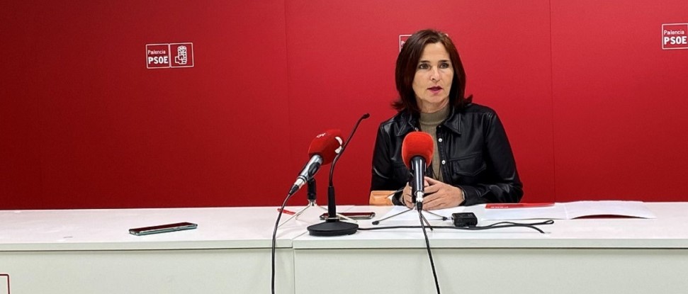 El PSOE destaca la importancia de las políticas sociales en los Presupuestos Generales del Estado para 2022
